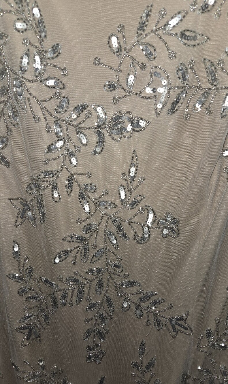 Adrianna Papell Taupe Beaded Sheath Dress with Silver Embellishment - Picture 4 of 4